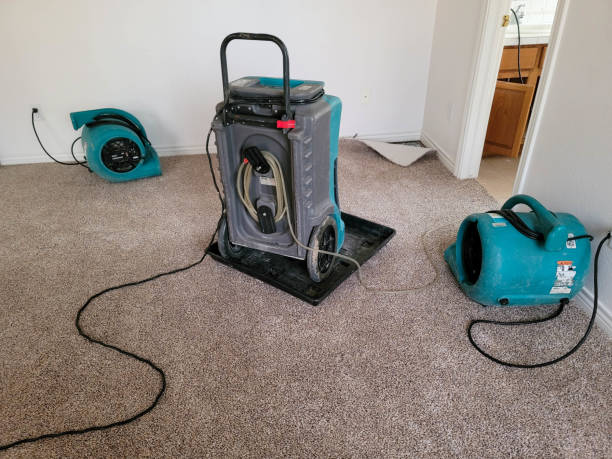 Best Flood damage cleanup  in East Hemet, CA