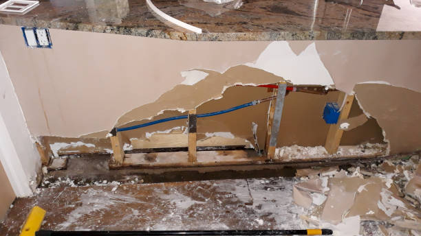 Best Local water damage restoration  in East Hemet, CA