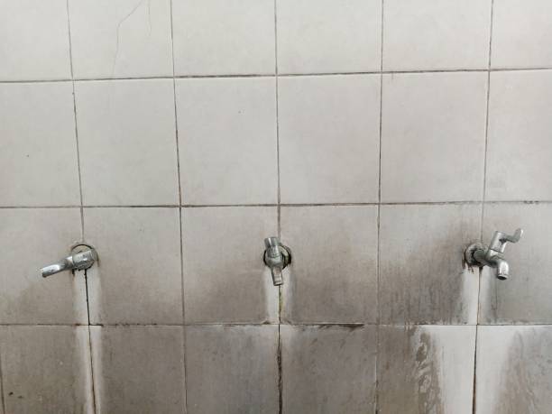 Best 24-hour water damage restoration  in East Hemet, CA