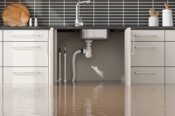 Best Professional water damage repair  in East Hemet, CA